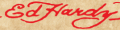 Ed Hardy Apparel & Accessories - 73% off