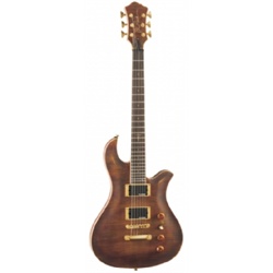 Eagle Archtop Coupon