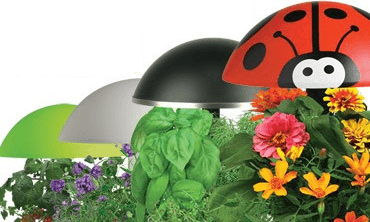 Online Coupons From AeroGarden