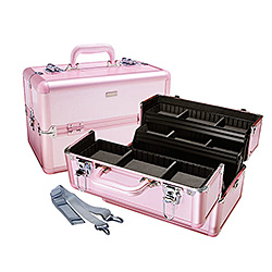 Metro Pink Train Case Coupon